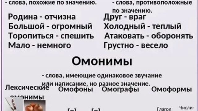 Что такое синонимы антонимы омонимы? сейчас узнаем