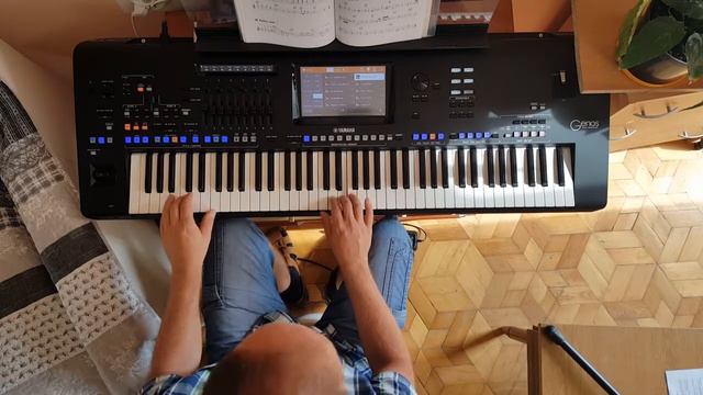 PĘDZĄ SANIE ( They're running a sleigh ) - YAMAHA GENOS смотреть онлайн