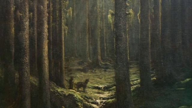 Какой лес на Земле самый большой? Почему в лесу царят сумерки? Умеют ли растения двигаться?!! смотреть онлайн