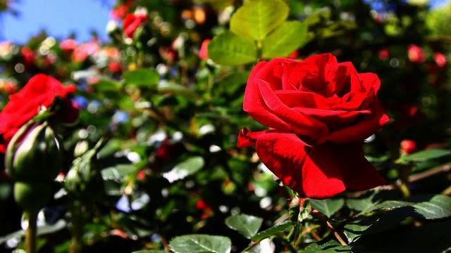 Хорошие русские песни европа плюс - класс! смотреть онлайн