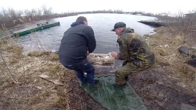 Зарыбление Днепра апрель 2015 ! смотреть онлайн