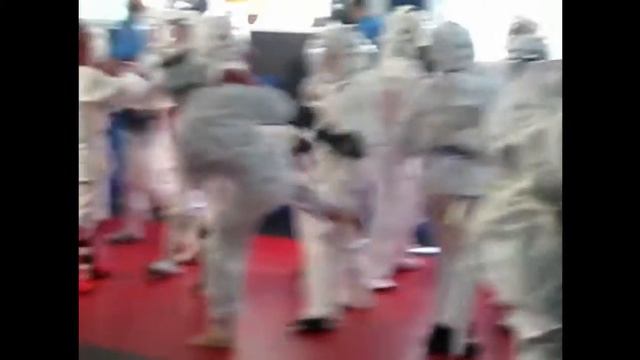 Аттестация по КУДО (10 ку) и по каратэ ( 7 ку) 2018 год ( май) смотреть онлайн