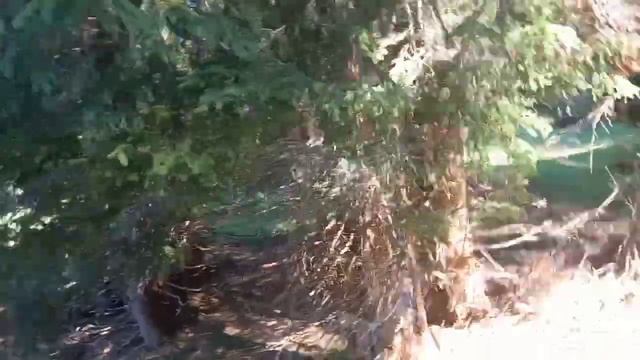 the big lake ever/ cavalese Italy /twenty minutes bye walking смотреть онлайн