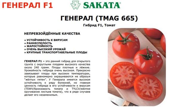 Томаты (семена) на 2022. Часть 2. Андромеда Белла роса Генерал Линда Махитос Примадонна Черри блосэ смотреть онлайн