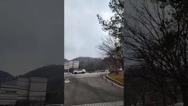 Любимый парк в Южной Корее смотреть онлайн