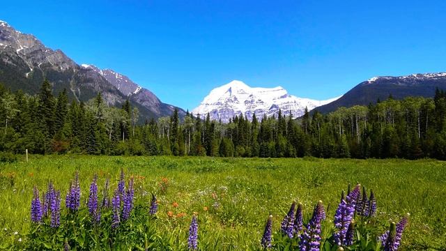 Зачем мы любим безответно (стихи Мира Единого)..mp4 смотреть онлайн