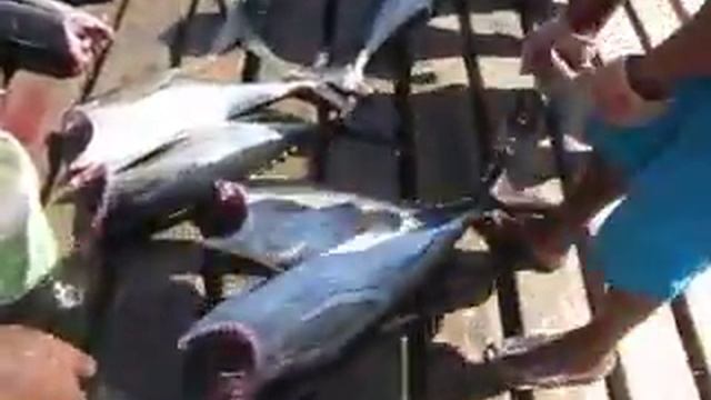045 острова Кабо Верде 2017 туризм экзотика океан island Cabo Verde tourism exotica путешествие смотреть онлайн