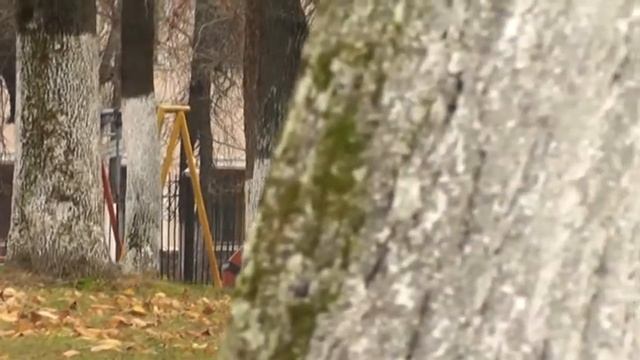 операторская тележка смотреть онлайн