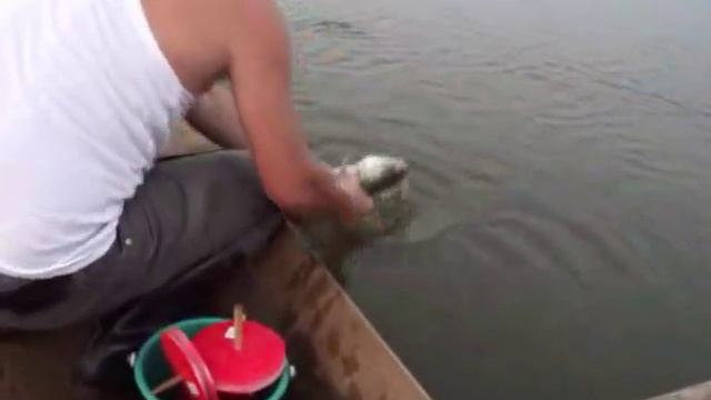 Судак .avi смотреть онлайн