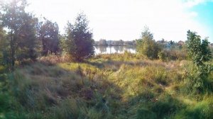 Сплит-шот 0.5 грамма+спиннинг Сергея Жучкова.Золотая середина.