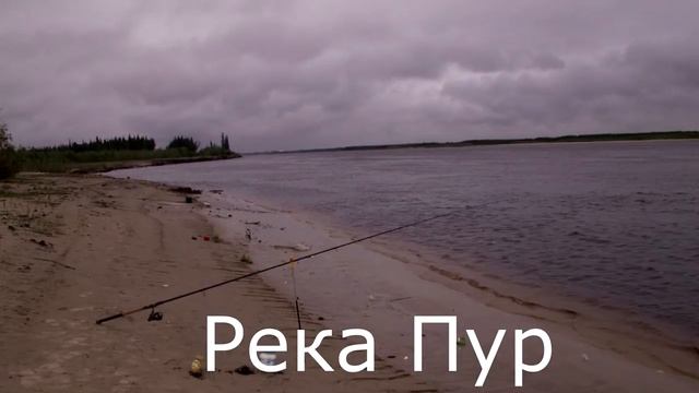 Новый Уренгой. Достопримечательности города и окрестностей.