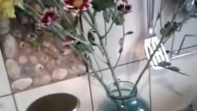 Советы :Как хранить долго цветы свежими. смотреть онлайн