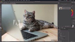 Верстка газеты в InDesign