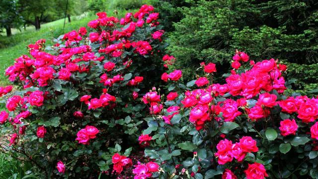 Самая новая новинка и видео онлайн смотреть онлайн