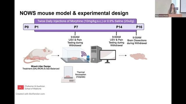 CTSI translational Science Symposium - Dr. Elisha Wachman, MD & Kelly Wingfield Presentation смотреть онлайн