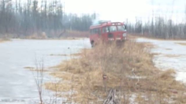 из болота бегемота смотреть онлайн