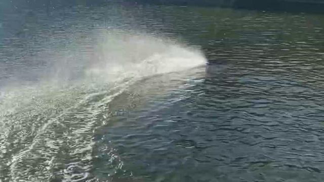 Новая игрушка на радио управлении смотреть онлайн