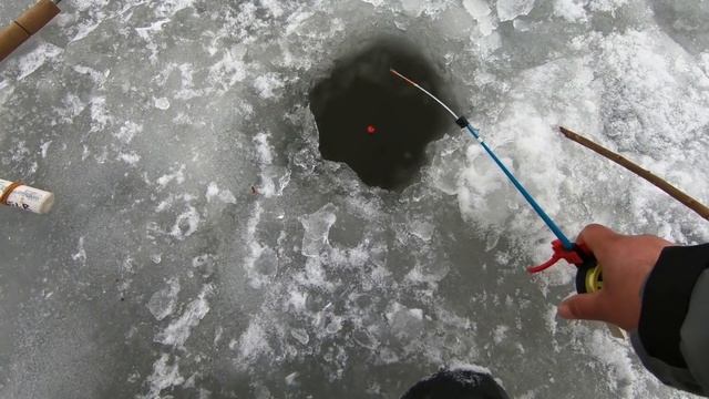 Карп снова украл удочку! Зимняя рыбалка на сазана и карасика! смотреть онлайн