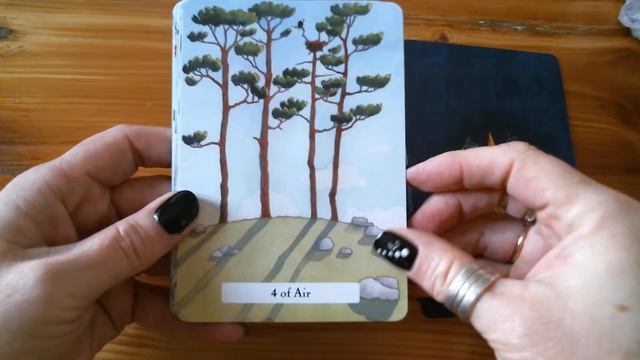Walkthrough & review of the Witches Wisdom Tarot смотреть онлайн