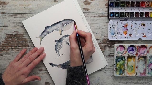Beginner friendly Whales in Watercolor and Fineliner смотреть онлайн