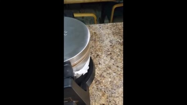 Crux Double Rotating Belgian Waffle Maker Review & Instruction Manual | Best Seller Waffle Make