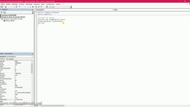 Liste des principaux codes VBA que j'utilise sur Access смотреть онлайн