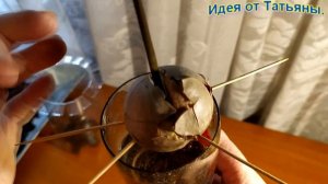 Как вырастить Авокадо из косточки до плодоносящего дерева.