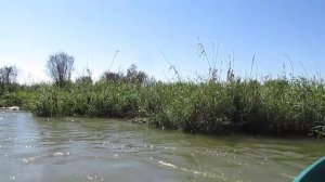 Детали ЛОВЛИ СУДАКА на главном банке | Рыбалка в Мумре