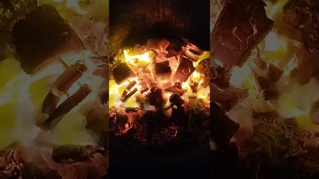 КАК ПОСТРОИТЬ ЛЮБОВЬ автор Игорь Евтихов. #стихи #лирика #любовь #питомцы смотреть онлайн