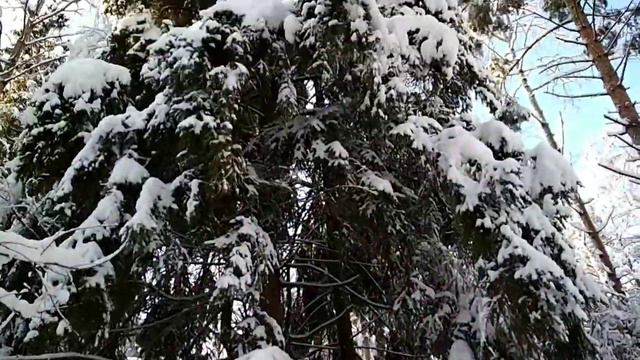 Природа Подмосковья смотреть онлайн
