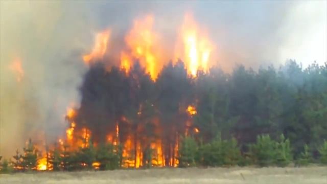 мЫлюди. Гимн современного общества. Поэзия. смотреть онлайн