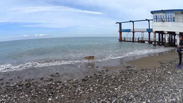 Лазаревское 2023/День отъезда/ Гуляем у моря/Встречаем поезд 353/часть1