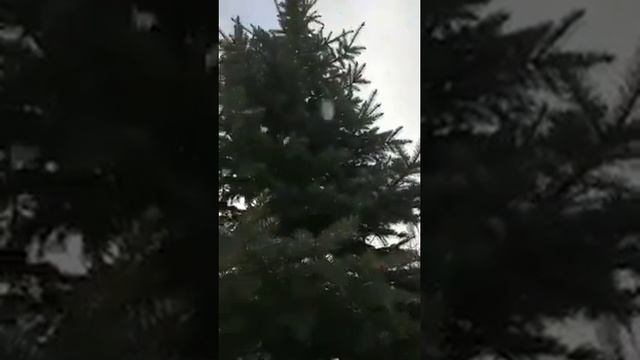 Господи Иисусе Христе Сыне Божий Помилуй мя! смотреть онлайн