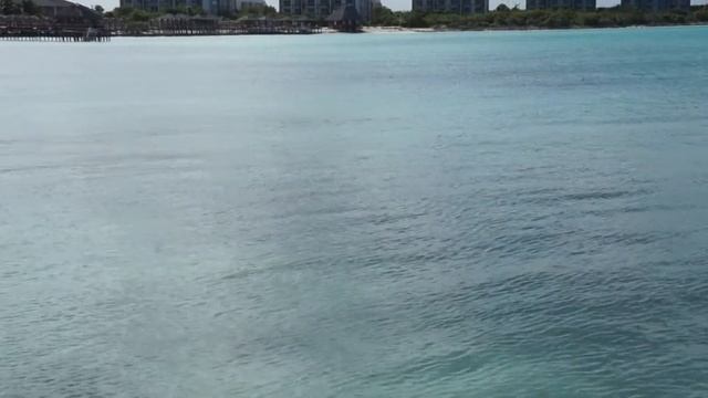 Кайо Гильермо, Куба / Cayo Guilermo - Cuba (34) смотреть онлайн