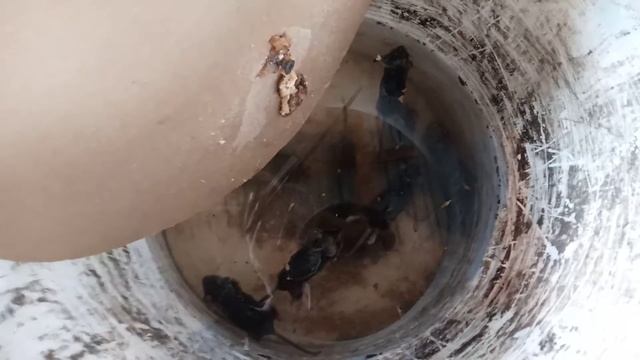 мышеловка легко и просто смотреть онлайн