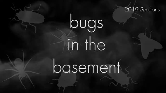 Bugs In The Basement- Blattella Germanica aka The German Cockroach смотреть онлайн