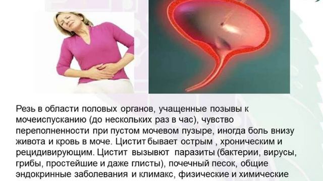 Весенняя коррекция проблем почек и мочевых путей смотреть онлайн