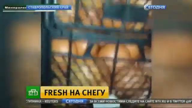 Партию турецких мандаринов раздавили бульдозером смотреть онлайн