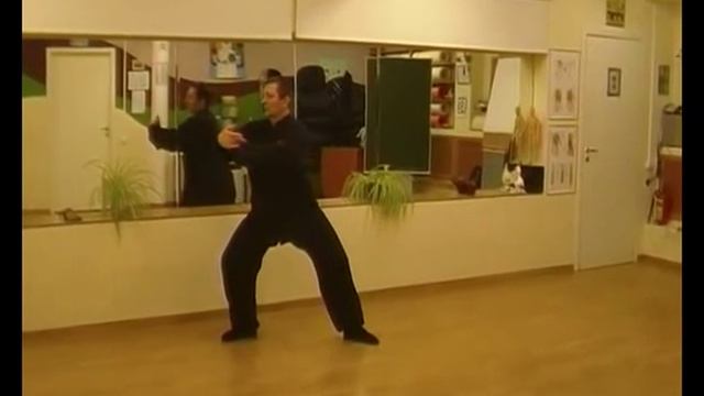 Китайская оздоровительная гимнастика ТАЙ-ЦЗИ-ЦЮАНЬ смотреть онлайн