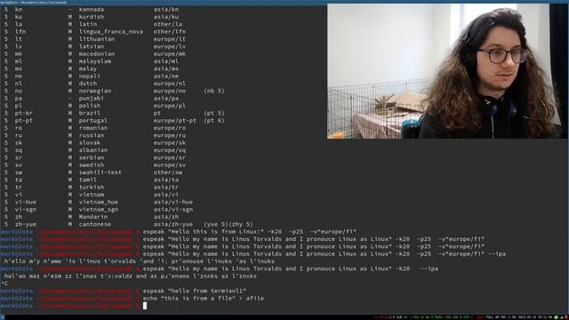 How I Read 11 Books A Day Using Linux And Espeak! смотреть онлайн