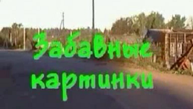 3абавные картинки смотреть онлайн