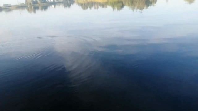 Рыбалка осенью. Ловля хищника на кружки смотреть онлайн