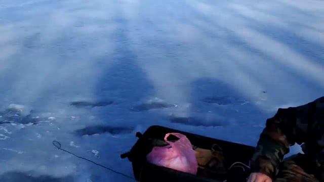 ЗИМНЯЯ РЫБАЛКА НА РЕКЕ. РЫБА ЧУВСТВУЕТ ВЕСНУ. КЛЕВ УСИЛИЛСЯ! ГОЛАВЛЬ,ОКУНЬ,ЕРШ,ПЕСКАРЬ, НАЛИМ! смотреть онлайн