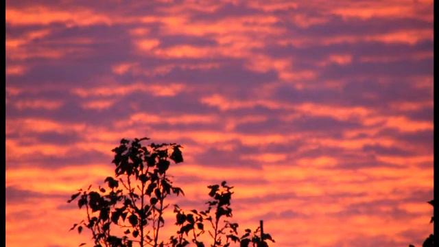 Митч Ли. Песня Дон-Кихота «The Impossible Dream». Поёт А. Бурыкин смотреть онлайн