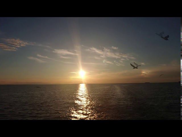 Ольга Гранина - Я хочу на берег моря полететь смотреть онлайн