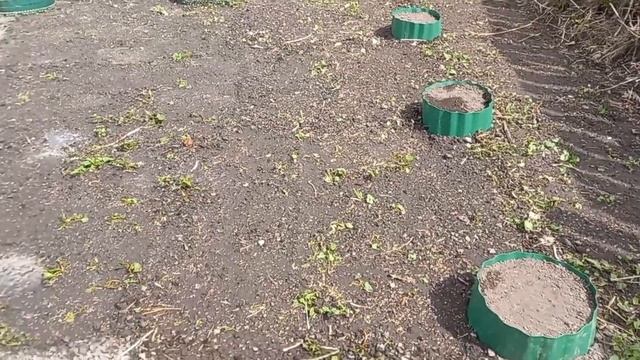 ?Как я делала газон на картофельном поле. Первый покос 12.06.23г. смотреть онлайн