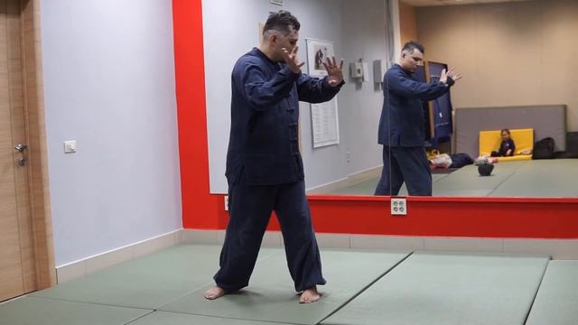 Хуньюань тайцзи 24 формы (начало) смотреть онлайн