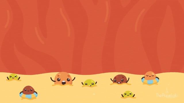 The Digestive System Organs And How It Works | Primary School Science Animation смотреть онлайн