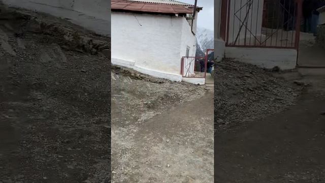 24 ноября 2018 г. смотреть онлайн