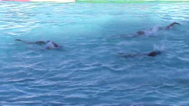 John Licari waterpolo injury смотреть онлайн